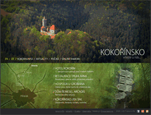 Tablet Screenshot of kokorin.info